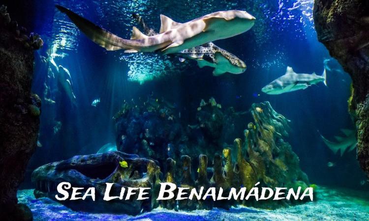 Benalbeach Loft Бенальмадена Экстерьер фото